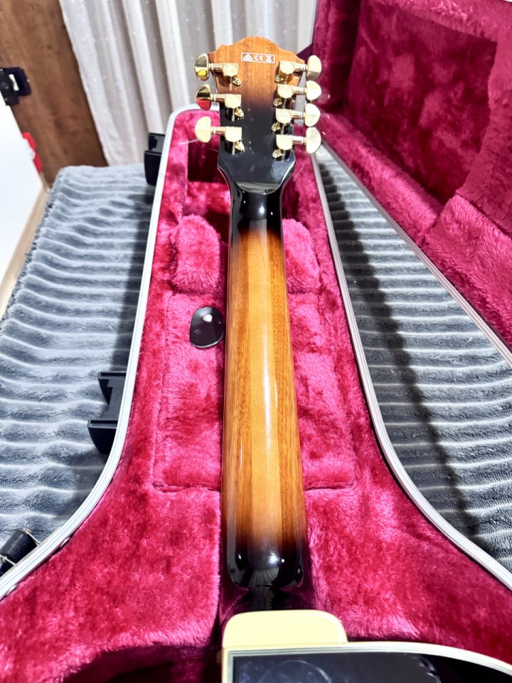 Ibanez afj957 7 string archtop