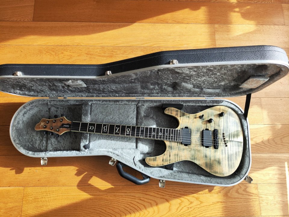 Mayones setius custom