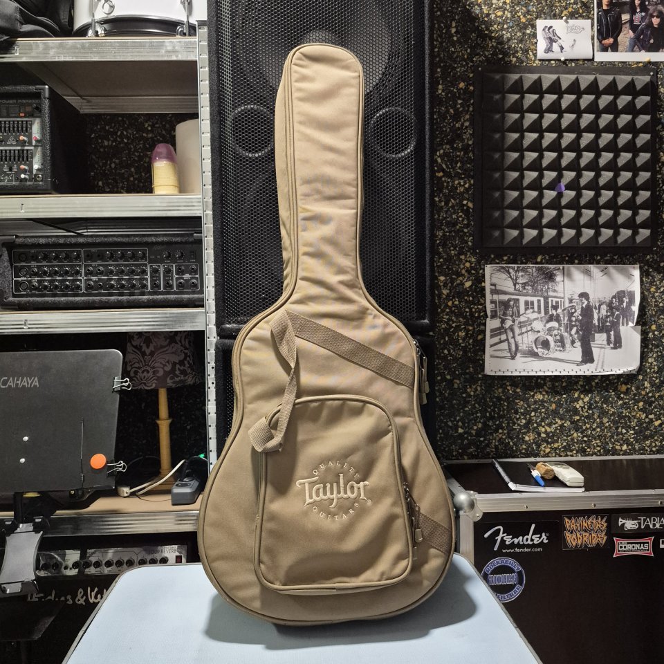 Taylor de 12 cuerdas