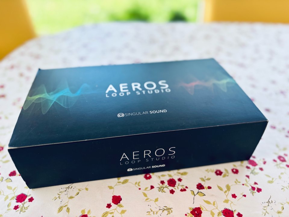 Looper Aeros Singular Sound de segunda mano · Foto 4 de 7 · Tarragona · 400 €