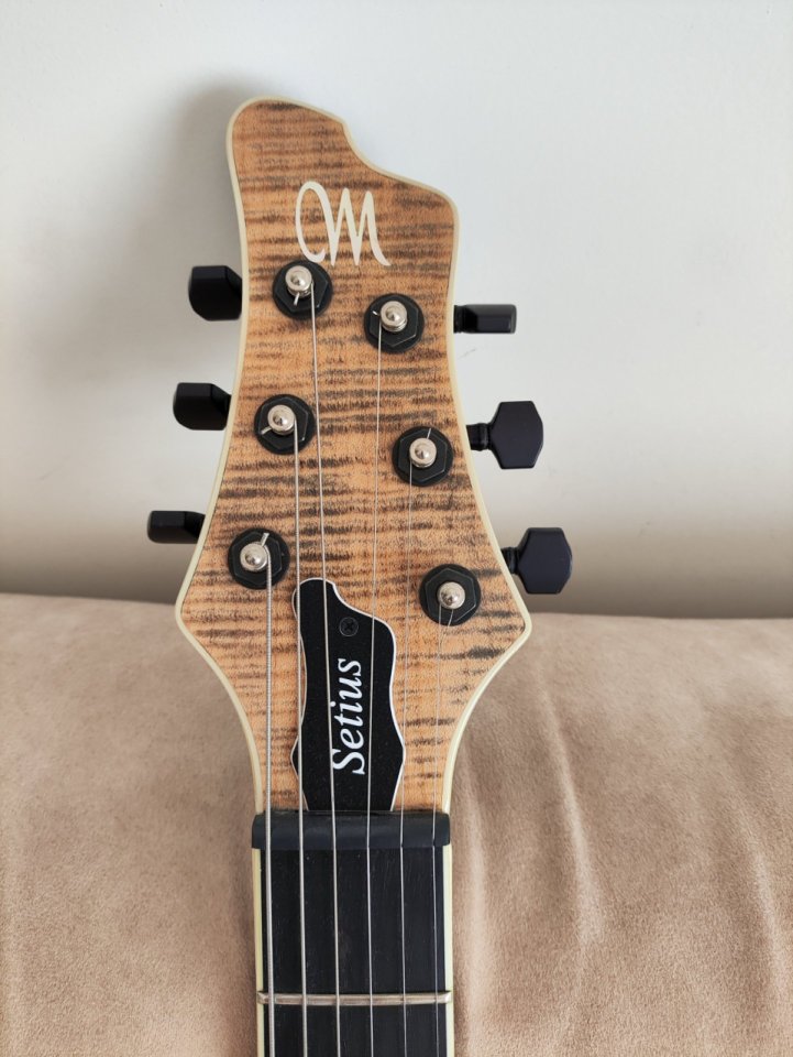 Mayones setius custom