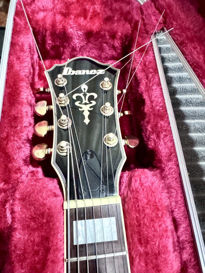 Ibanez afj957 7 string archtop