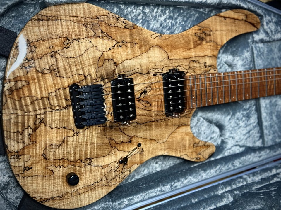 Vendo Mayones Regius Máster Grade