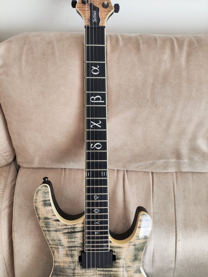 Mayones setius custom