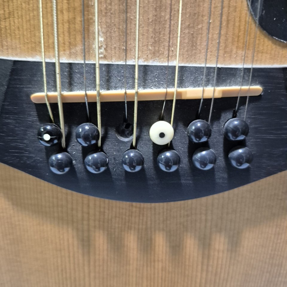 Taylor de 12 cuerdas