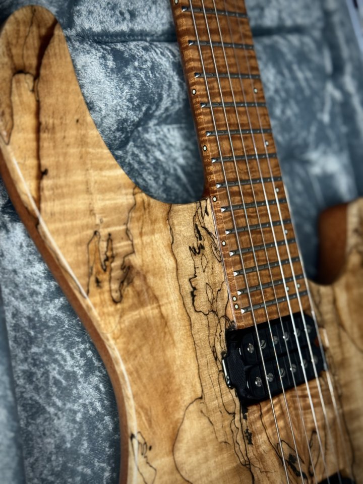 Vendo Mayones Regius Máster Grade