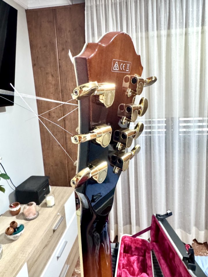 Ibanez afj957 7 string archtop