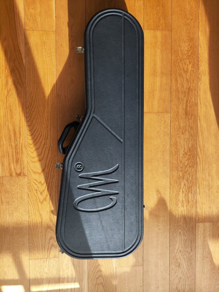 Mayones setius custom