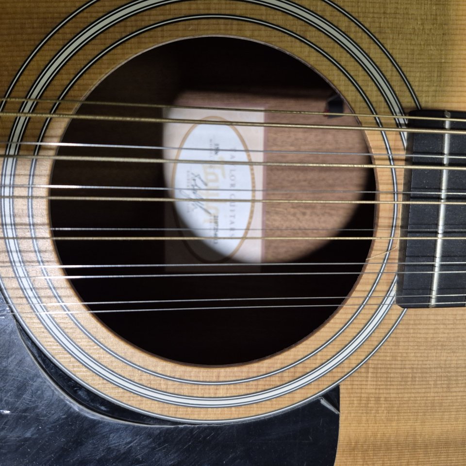 Taylor de 12 cuerdas