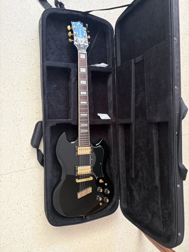 Guild Polara Kim Thayil de segunda mano · Foto 1 de 6 · Las Palmas · 730 €