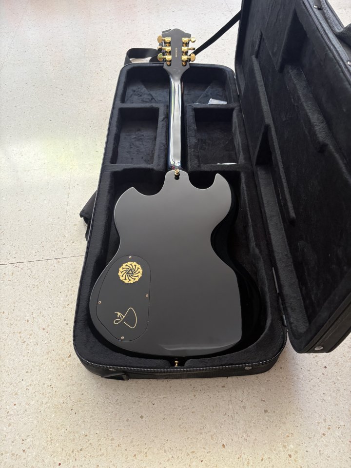 Guild Polara Kim Thayil de segunda mano · Foto 6 de 6 · Las Palmas · 730 €