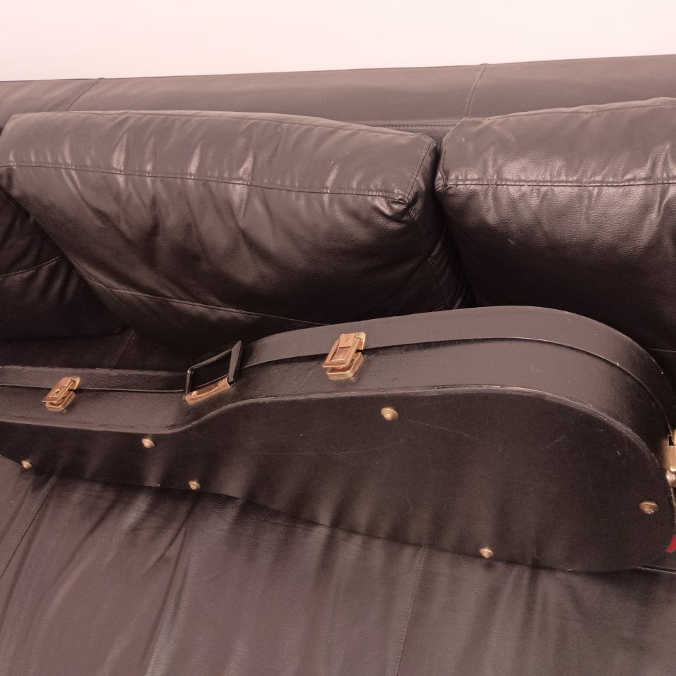 Estuche guitarra eléctrica de segunda mano · Foto 4 de 7 · Málaga · 40 €