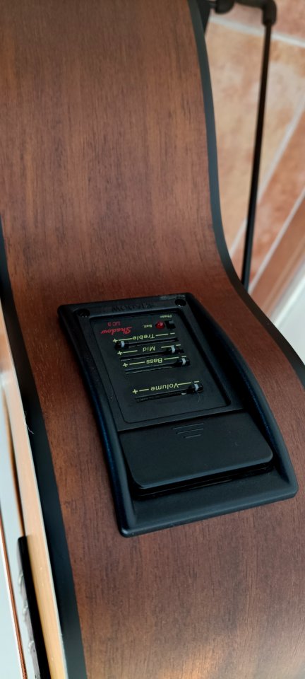 Bajo FENIX B-10 by Young Chang