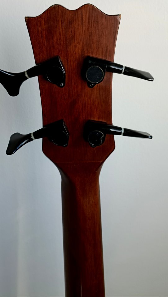 Bajo FENIX B-10 by Young Chang