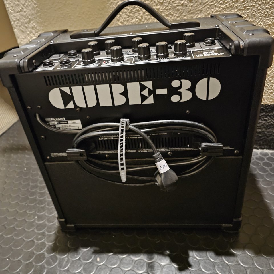Roland cube 30