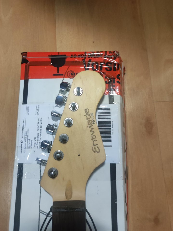 Guitarra Entwistle EST100