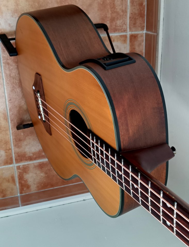 Bajo FENIX B-10 by Young Chang