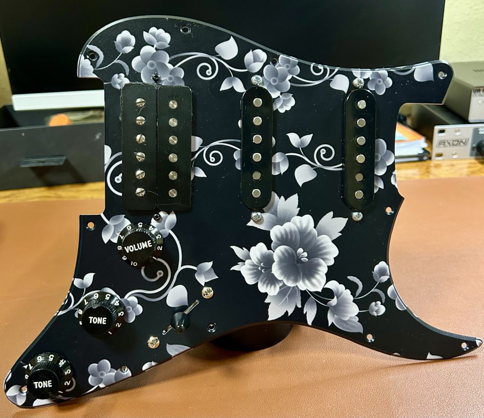 Golpeador completo Stratocaster