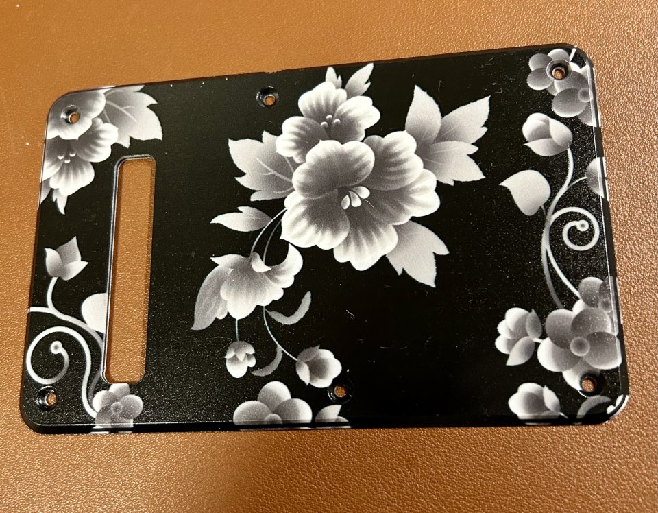 Golpeador completo Stratocaster