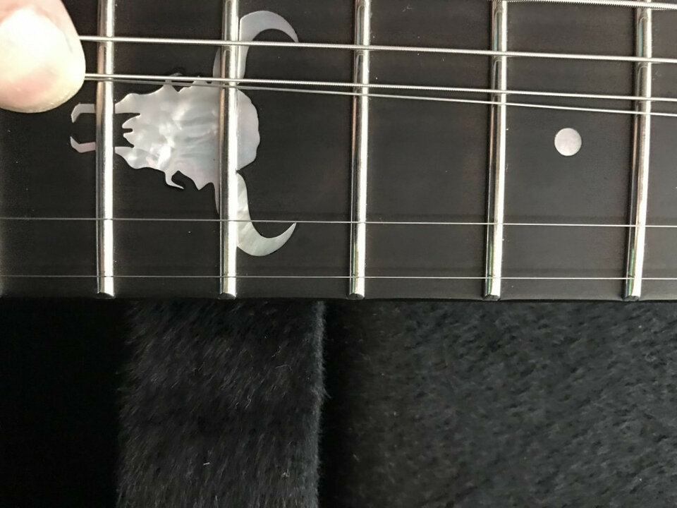 LTD George lynch Burnt Tiger Limited E.