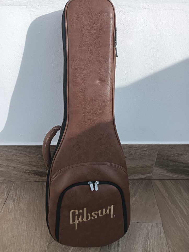 Bandolera estuche gibson de segunda mano · Foto 1 de 5 · Sevilla · 75 €