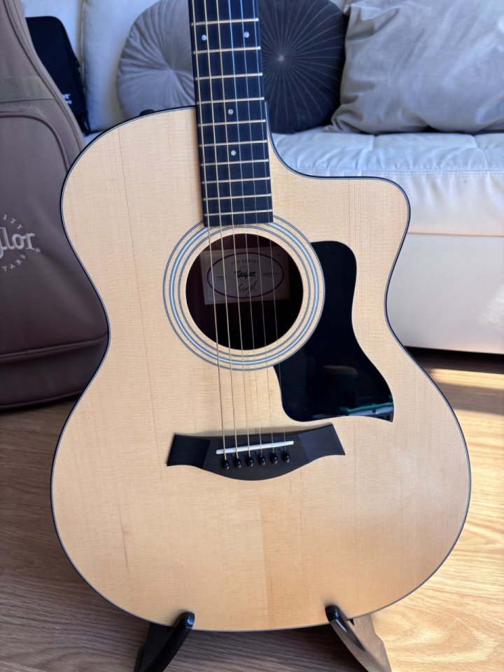 Taylor 114CE-S de segunda mano · Foto 1 de 7 · Madrid · 700 €