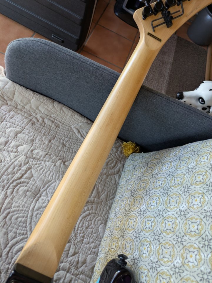 Kramer Nightswan blue dots + estuche rígido de segunda mano · Foto 7 de 9 · Madrid · 660 €