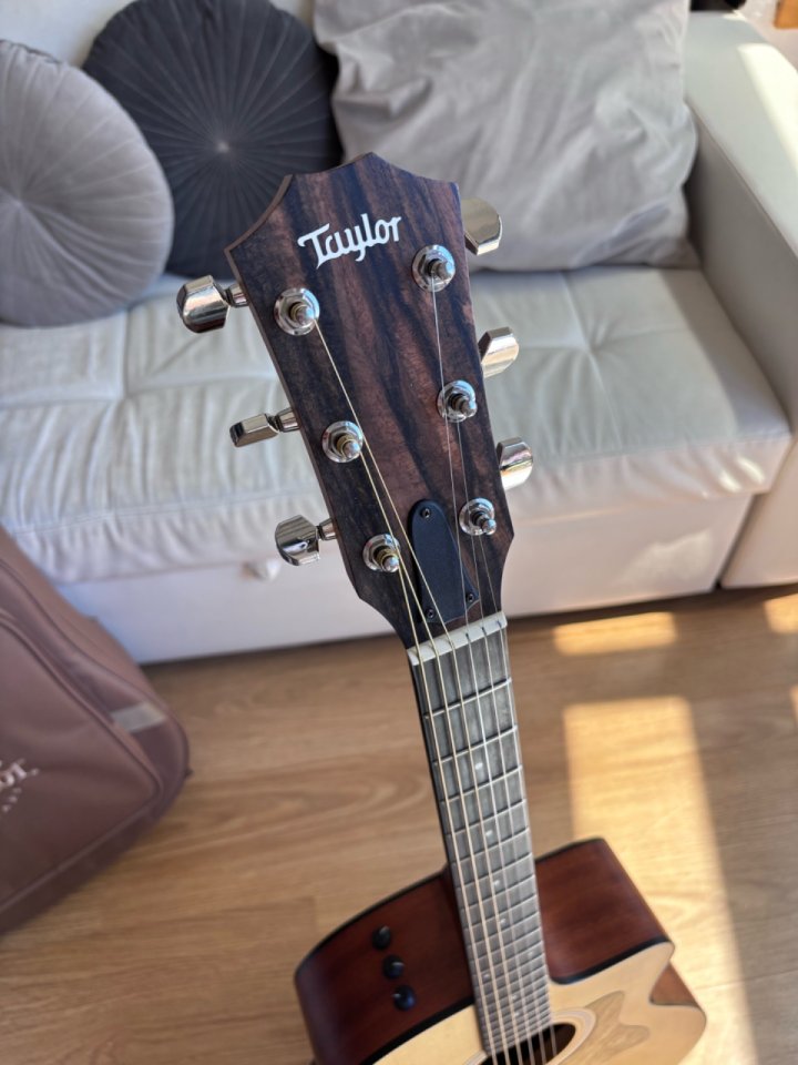 Taylor 114CE-S de segunda mano · Foto 2 de 7 · Madrid · 700 €