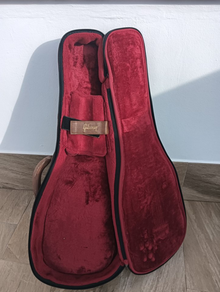 Bandolera estuche gibson de segunda mano · Foto 3 de 5 · Sevilla · 75 €