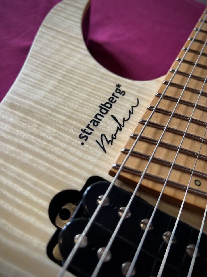 Strandberg Boden Standard Nx 6 de segunda mano · Foto 1 de 8 · Jaén · 1300 €