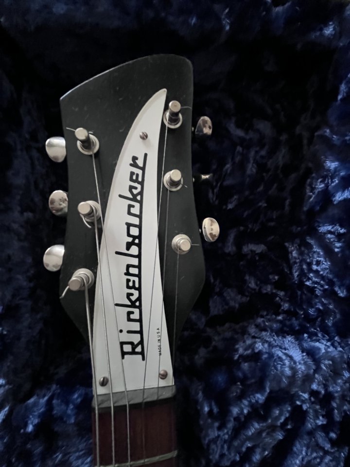 Rickenbacker 325c/64