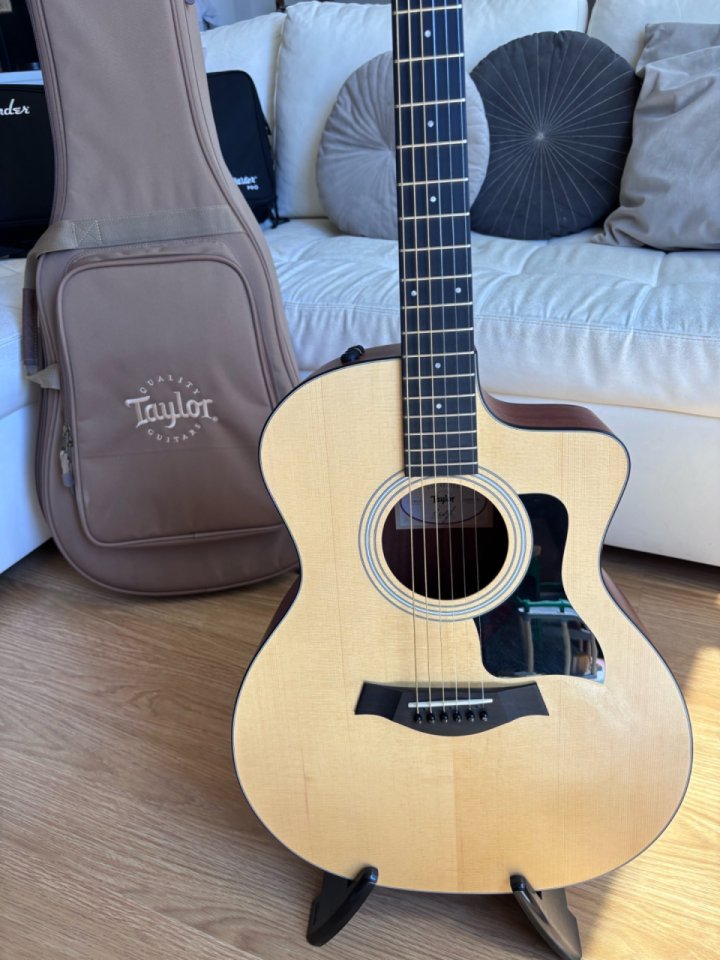 Taylor 114CE-S de segunda mano · Foto 6 de 7 · Madrid · 700 €