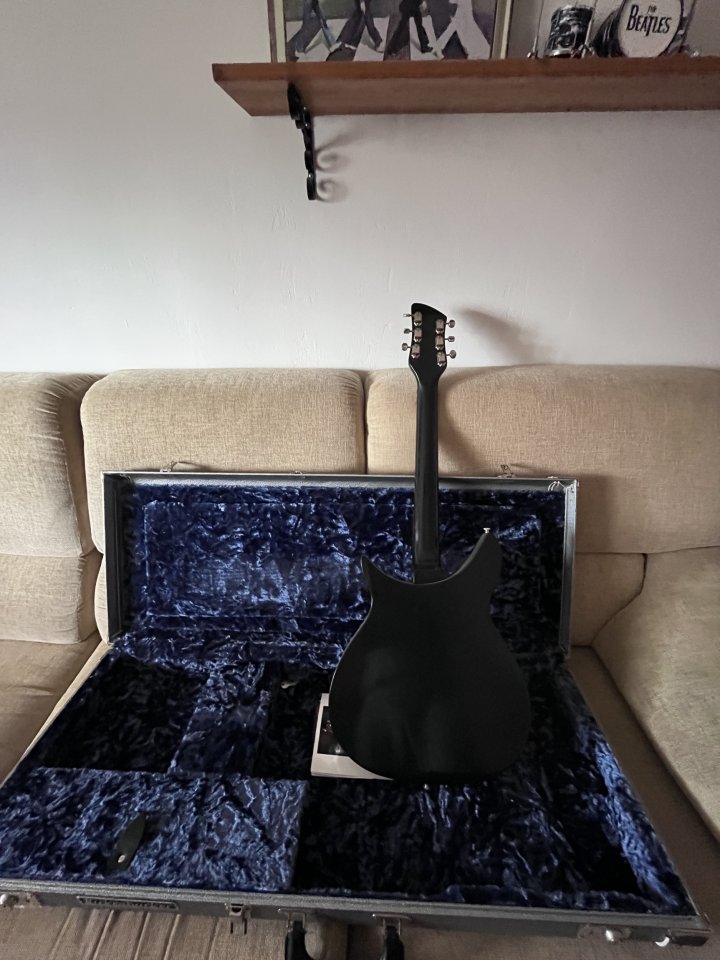 Rickenbacker 325c/64