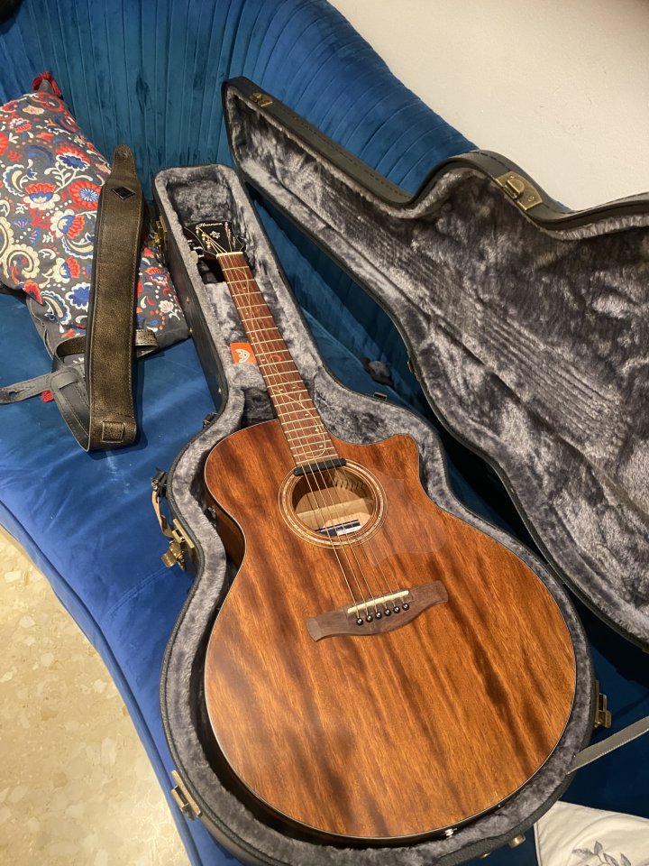 Ibanez ae295-LGS Hyvibe