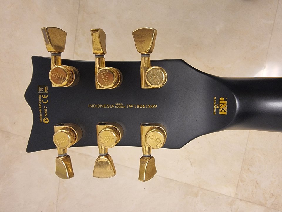 Guitarra eléctrica LTD EC 1000 negro