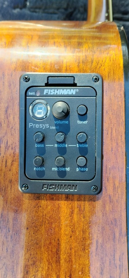Fender newporter de segunda mano · Foto 6 de 6 · Pontevedra · 400 €