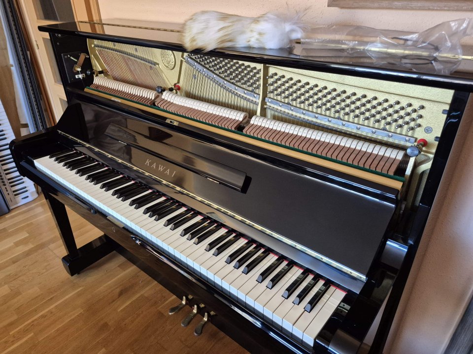 Piano acústico "tope de gama" KAWAI CS-21
