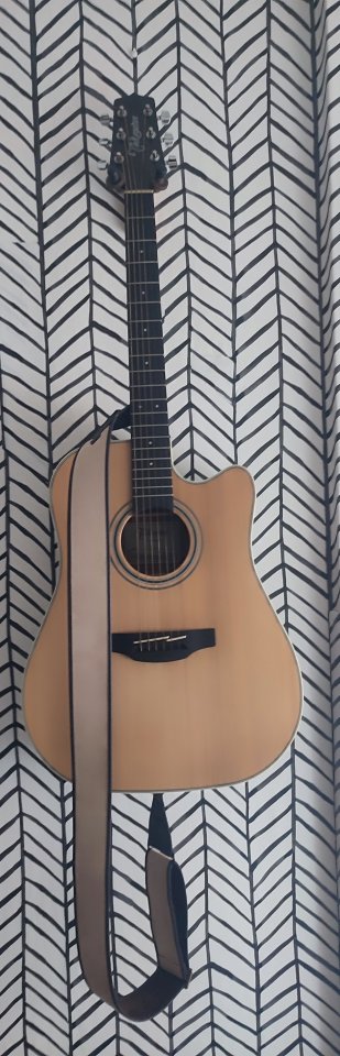 Guitarra TAKAMINE GD20CE-N , con funda y correa