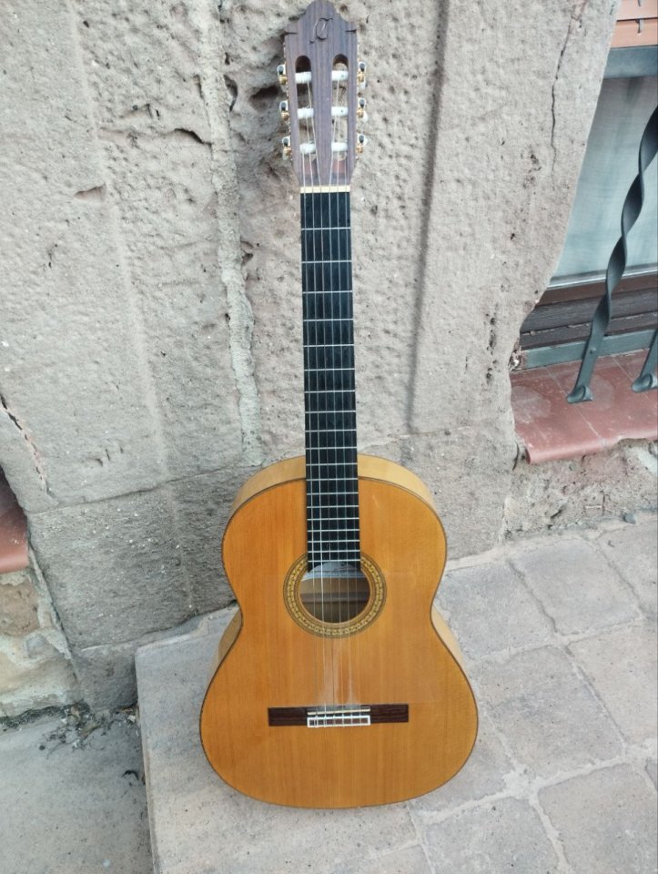 CAMPS M5 S - Flamenco - Guitarra Española