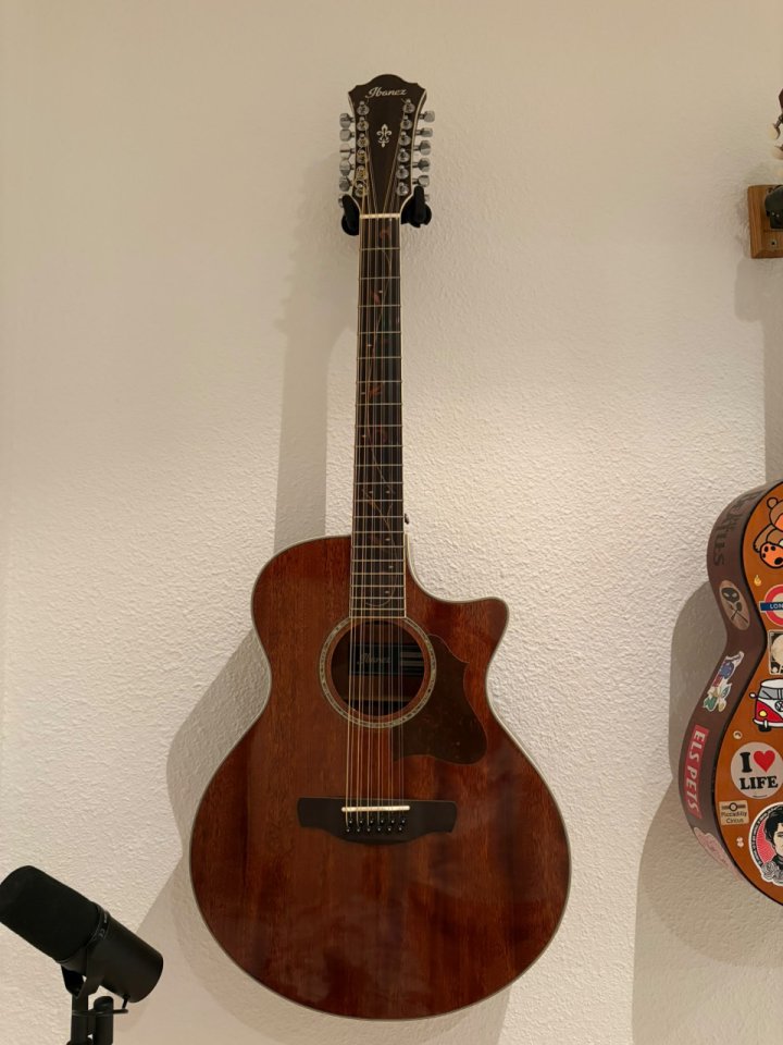 Ibanez AE2412-NT electroacústica de 12 cuerdas de segunda mano · Foto 1 de 4 · Madrid · 375 €