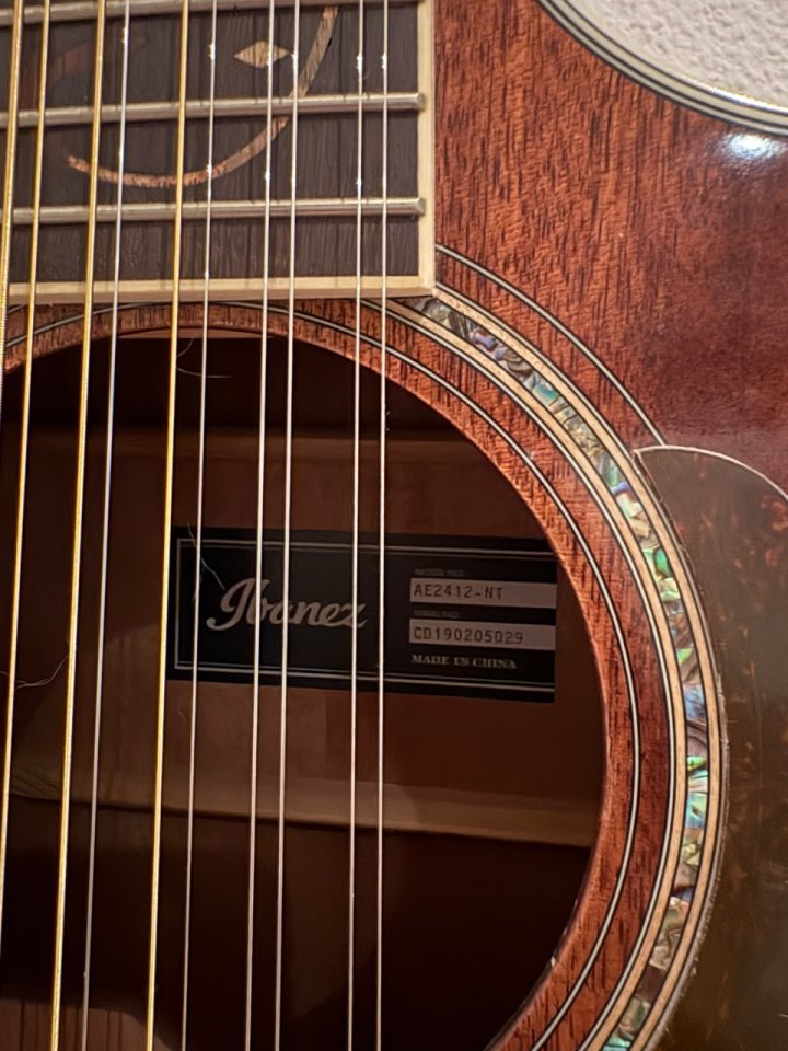Ibanez AE2412-NT electroacústica de 12 cuerdas de segunda mano · Foto 2 de 4 · Madrid · 375 €