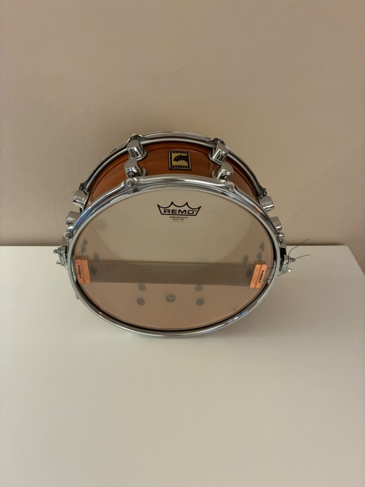 Tambor Black Panther 13 de segunda mano · Illes Balears · 350 €