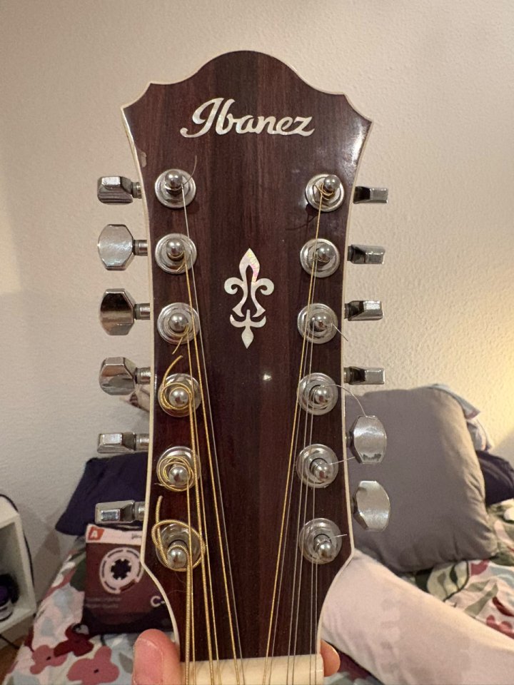 Ibanez AE2412-NT electroacústica de 12 cuerdas de segunda mano · Foto 3 de 4 · Madrid · 375 €