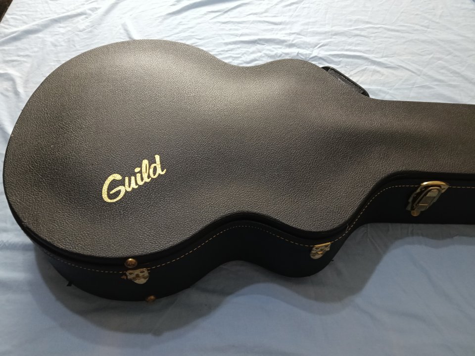 Estuches Guild 17" de segunda mano · Foto 1 de 10 · Valencia · 125 €