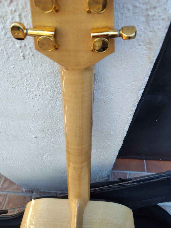 Acústica Alhambra AJ SM E9