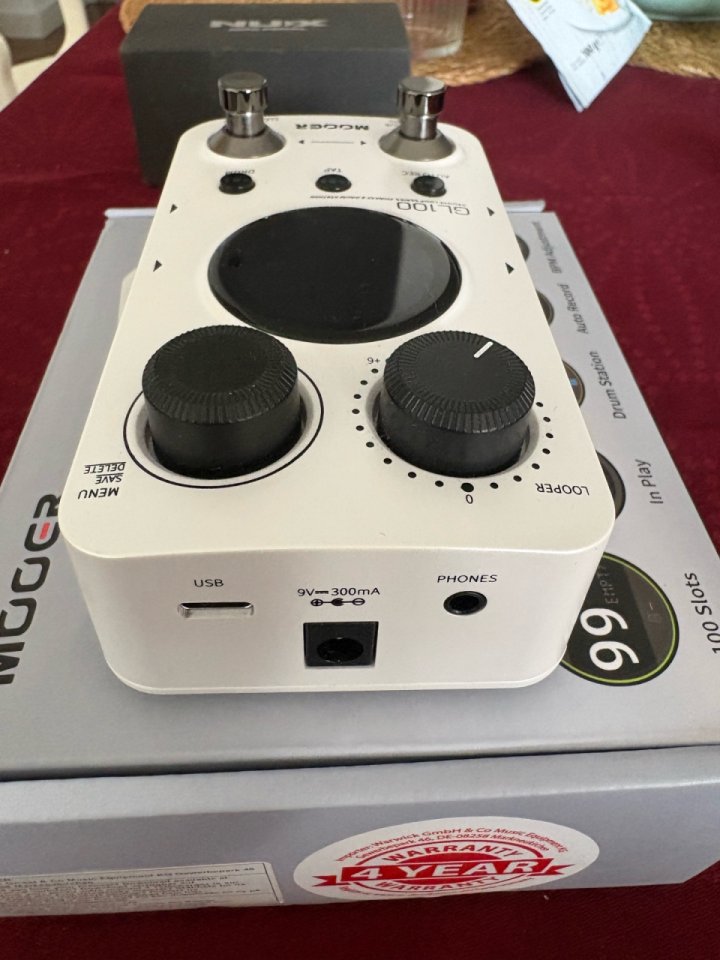 Mooer GL100 Groove looper de segunda mano · Foto 1 de 4 · Alicante · 87 €