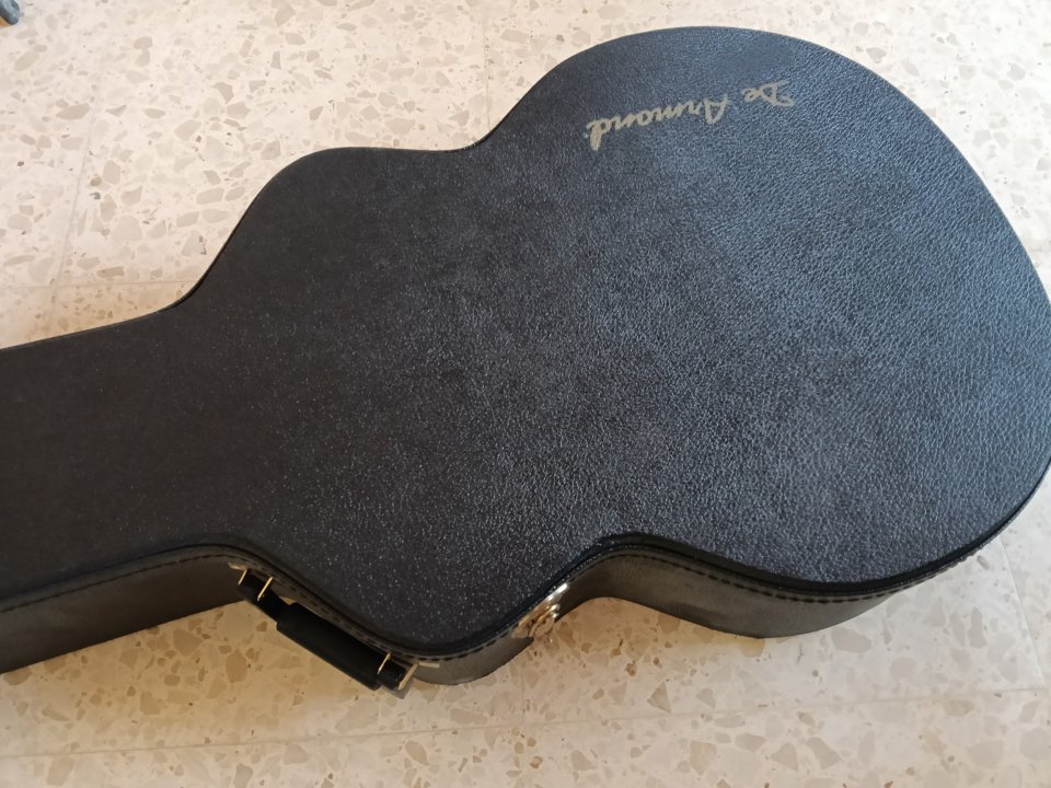Estuches Guild 17" de segunda mano · Foto 9 de 10 · Valencia · 125 €