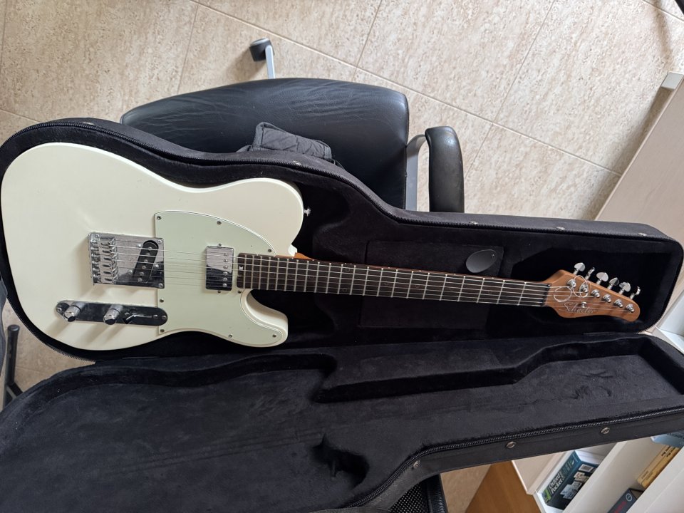 Telecaster Schecter Nick Jonston, PT Atomic Snow