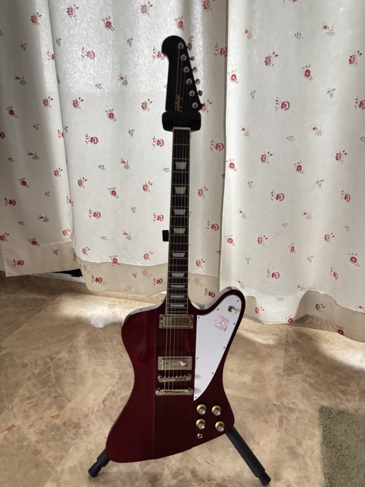 Epiphone Firebird Wine Red