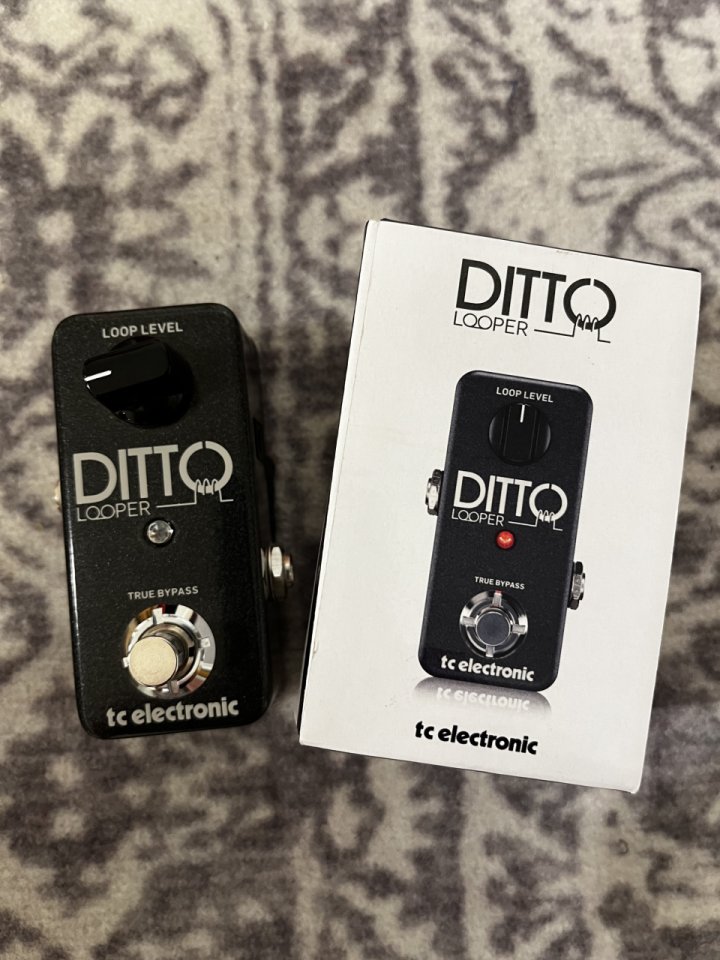 Tc electronic Ditto Looper Pedal de segunda mano · Granada · 45 €